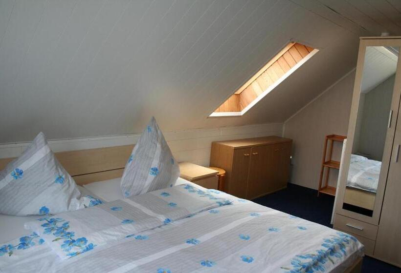 آپارتمان 2 خوابه با بالکن, Pension Haus Erika