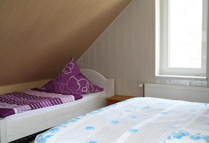 آپارتمان 2 خوابه با بالکن, Pension Haus Erika