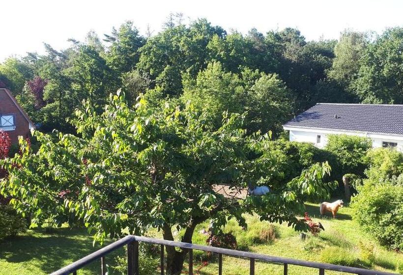 اتاق استاندارد با بالکن, Pension Haus Erika