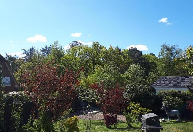 استودیو ساده, Pension Haus Erika