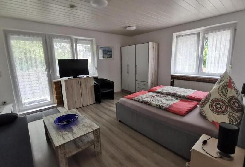 آپارتمان 1 خوابه با تراس, Pension Haus Erika