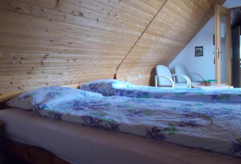 Номер Стандарт, Pension Kraus