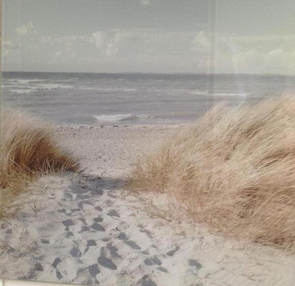 اتاق استاندارد, Pension Pagalies