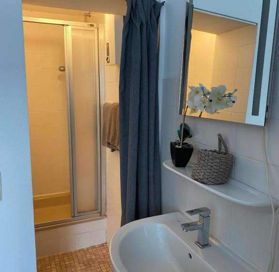 اتاق استاندارد یک نفره, Pension Pagalies