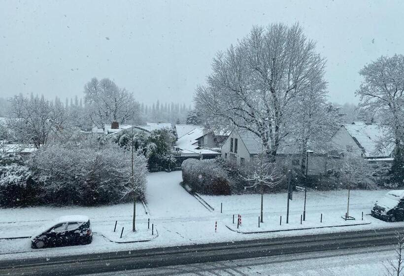 اتاق استاندارد یک نفره, Pension Pagalies