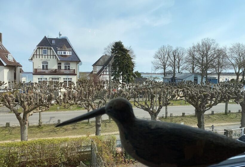 غرفة قياسية مطلّة علي البحر مزوَّدة بشُرفة, Villa Pension Strandhaus   Adults Only