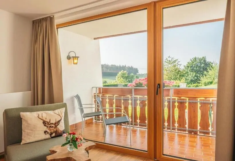 テラス付き１ベッドルームアパートメント, Landgasthaus Sonne