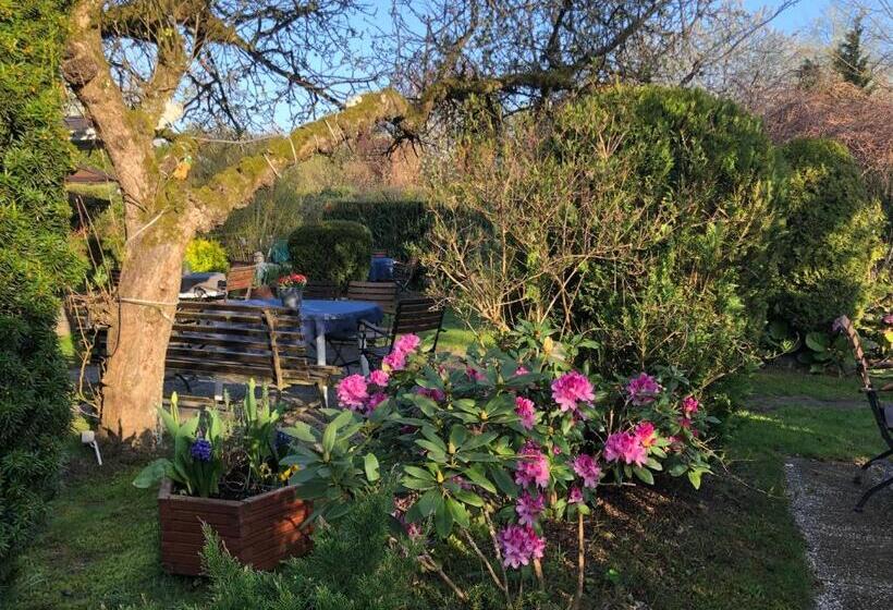 חדר סטנדרט, Gast & Logierhaus Am Rheinsberger See