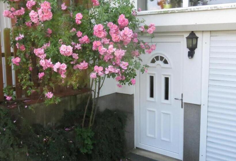 דירת חדר, Gast & Logierhaus Am Rheinsberger See