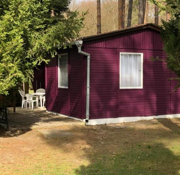 בונגלו סטנדרט 2 חדרי שינה, Gast & Logierhaus Am Rheinsberger See