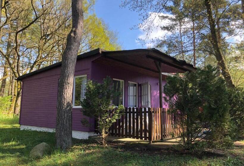 בונגלו סטנדרט 2 חדרי שינה, Gast & Logierhaus Am Rheinsberger See