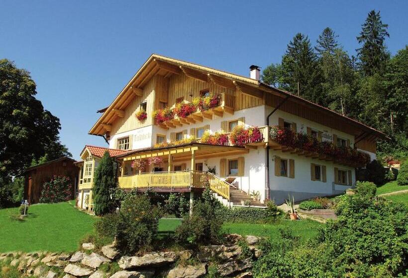 Номер Комфорт, Haus Talblick