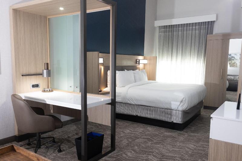מיטת קינג בסוויטה, Springhill Suites By Marriott Dallas Mckinney
