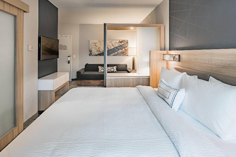 מיטת קינג בסוויטה, Springhill Suites By Marriott Dallas Mckinney