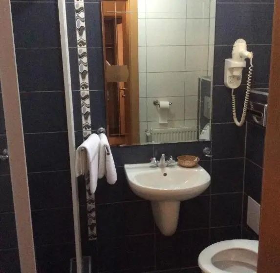 スタンダードシングルルーム, Pensiunea Casa Albă