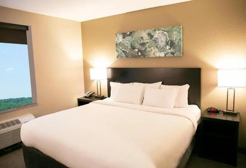 身障者適用キングサイズベッドルーム, Berlin Encore Hotel & Suites