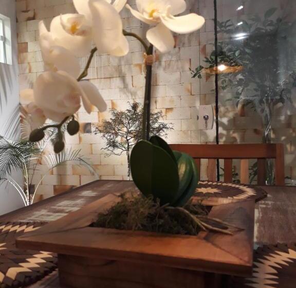 带1个卧室的公寓, Navega Hostel