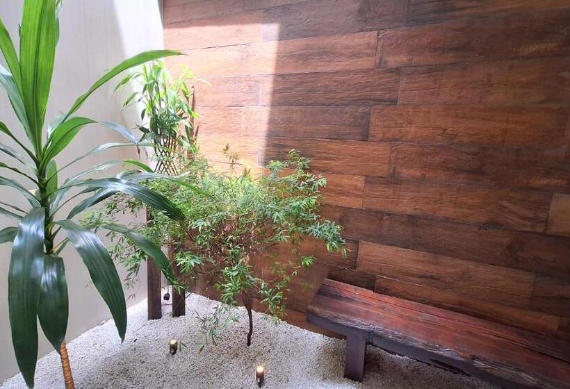 低层单卧公寓, Navega Hostel