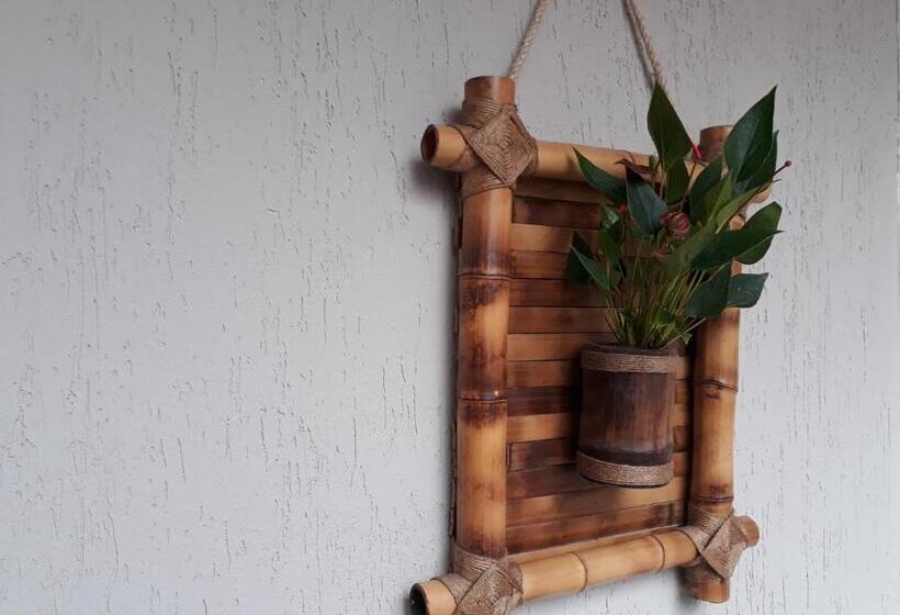 高级三人间, Navega Hostel