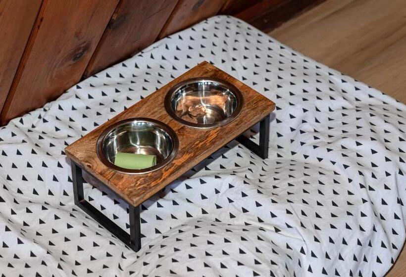 오두막, The Shoreline Tofino