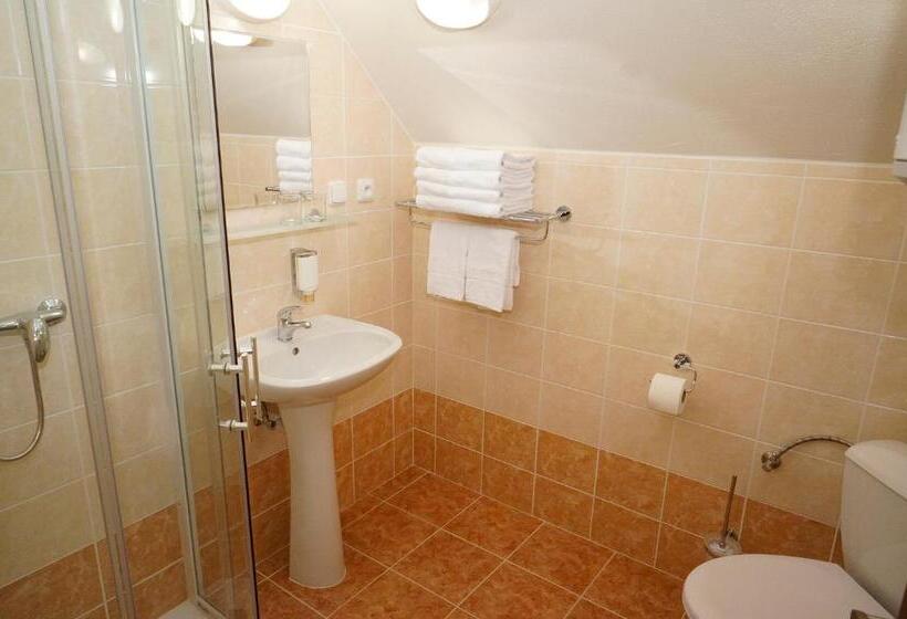 Standard-huone, Penzion čistá