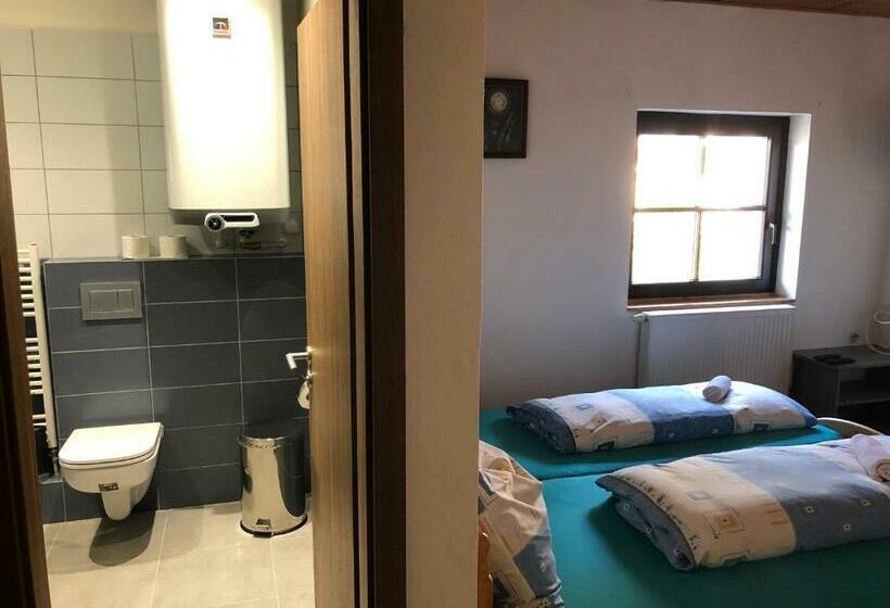 غرفة قياسية, Penzion U Larvů