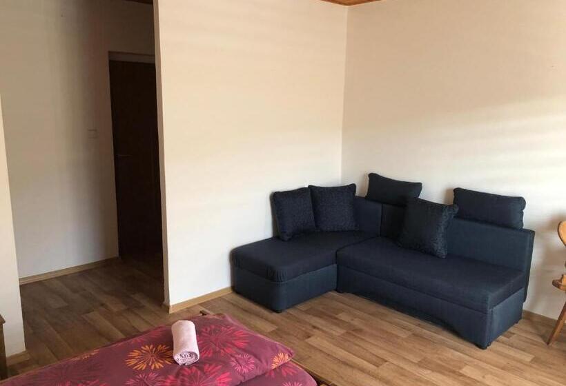 غرفة قياسية ذات إطلالة, Penzion U Larvů