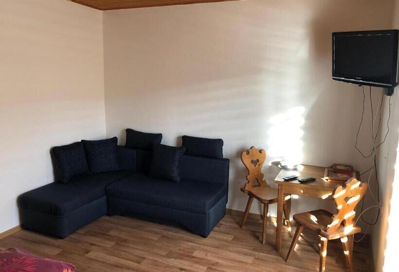 带观景的标准间, Penzion U Larvů