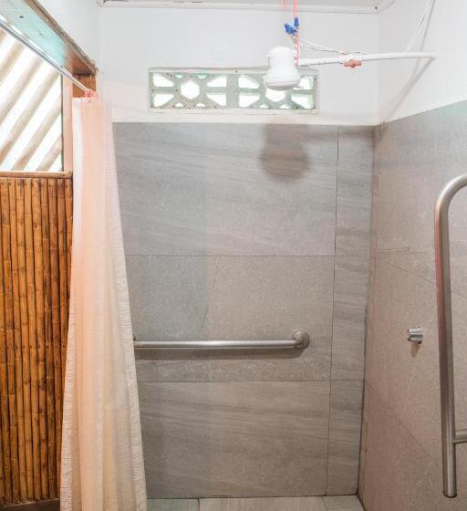 スタンダードルーム, Roots Family