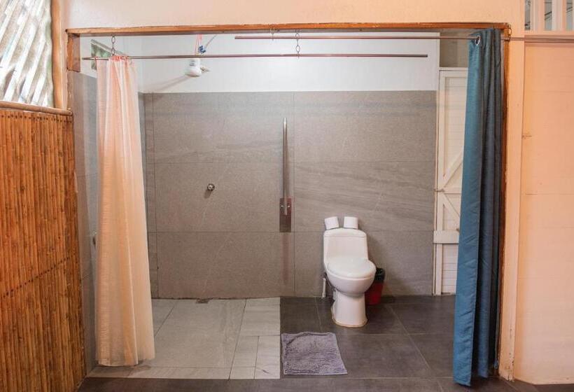 スタンダードルーム, Roots Family