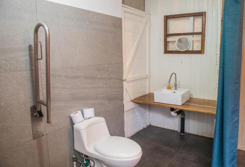 スタンダードルーム, Roots Family