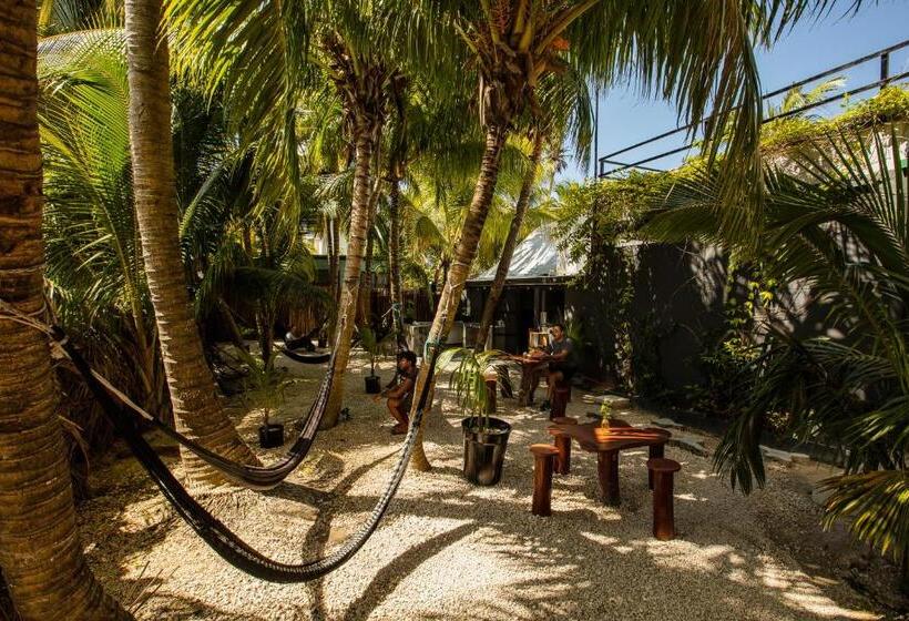Camera Deluxe, Che Holbox Hostel & Bar Adults Only