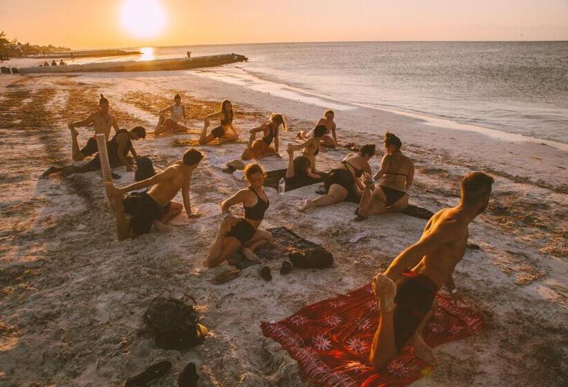 Camera Standard, Che Holbox Hostel & Bar Adults Only