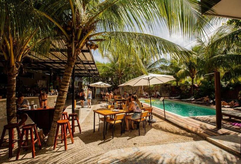 اتاق استاندارد, Che Holbox Hostel & Bar Adults Only