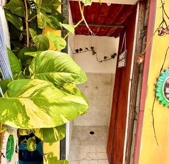 سرير فى غرفة مشتركه, Hostal Guacamayas