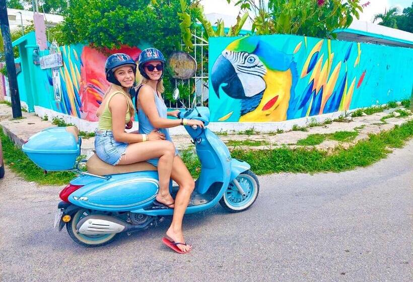 سرير فى غرفة مشتركه, Hostal Guacamayas