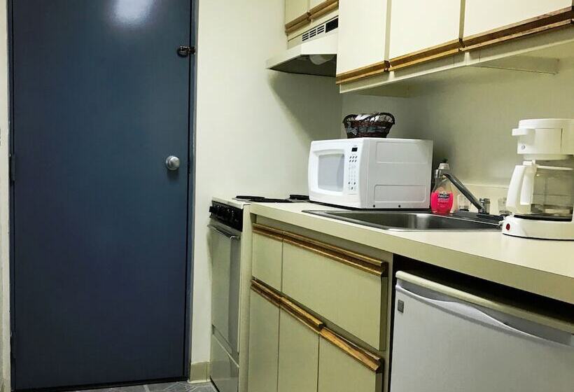 Студия Стандарт, Adirondack Efficiencies