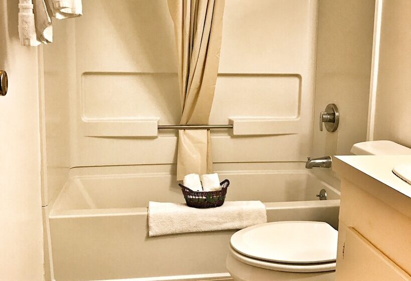 إستوديو قياسى, Adirondack Efficiencies