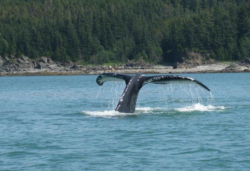 جناح مزود بجاكوزى, Alaska Chalet Bed & Breakfast