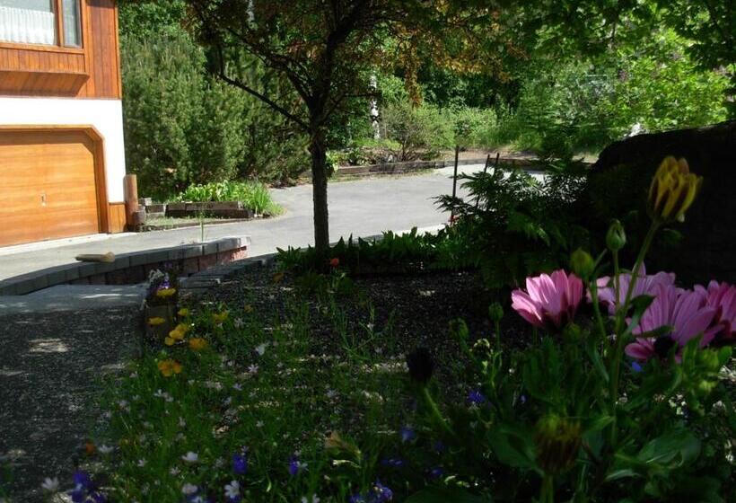 إستوديو ديلوكس, Alaska Chalet Bed & Breakfast