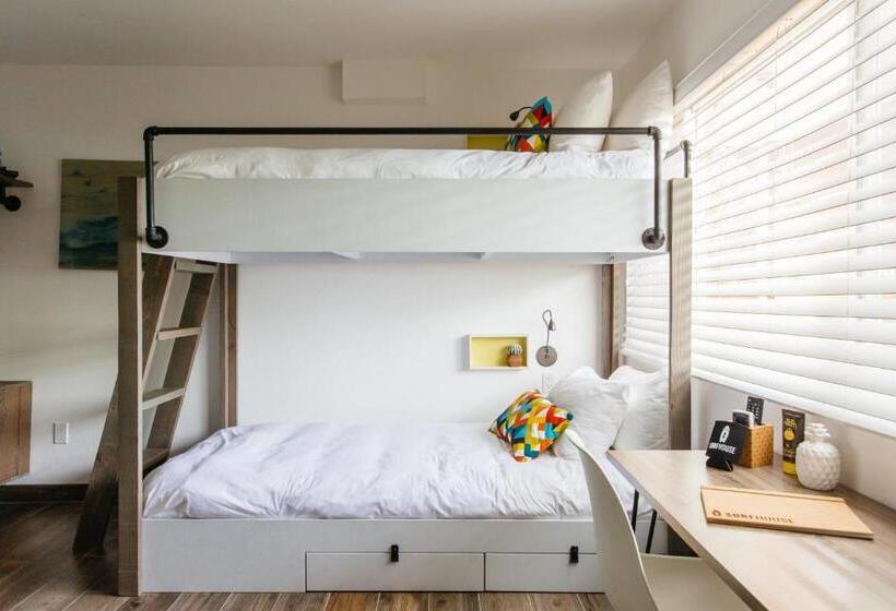 غرفة قياسية رباعية, Surfhouse