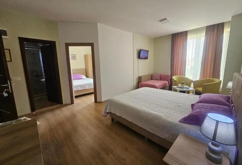 استودیو استاندارد با بالکن, Apartments Lotus