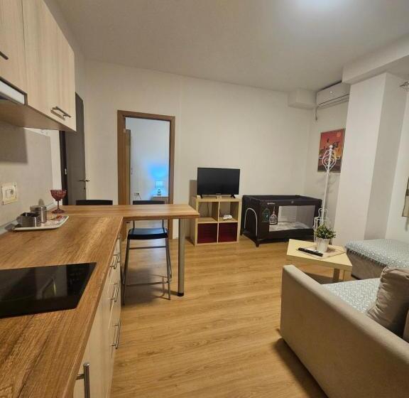 استودیوی استاندارد, Apartments Lotus