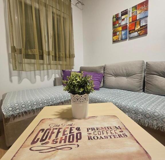 استودیوی استاندارد, Apartments Lotus
