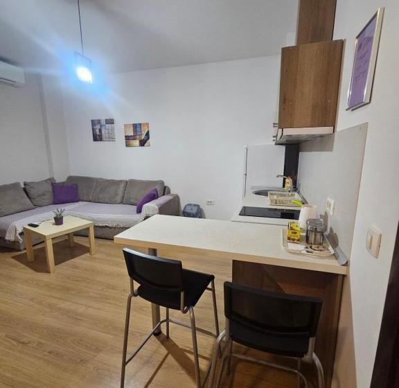 آپارتمان 1 خوابه با بالکن, Apartments Lotus