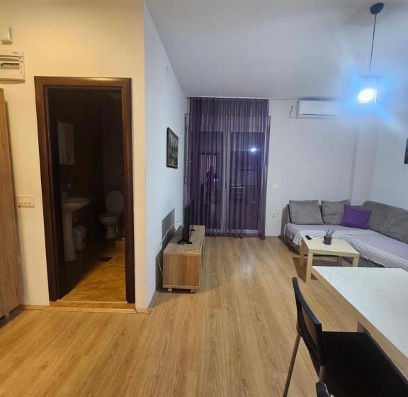 آپارتمان 1 خوابه با بالکن, Apartments Lotus