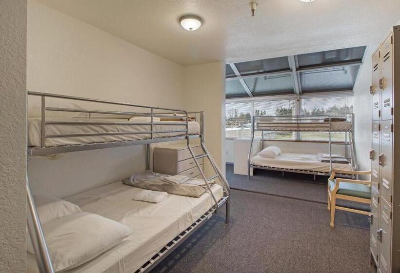 سرير فى غرفة مشتركه, San Juan Island Hostel