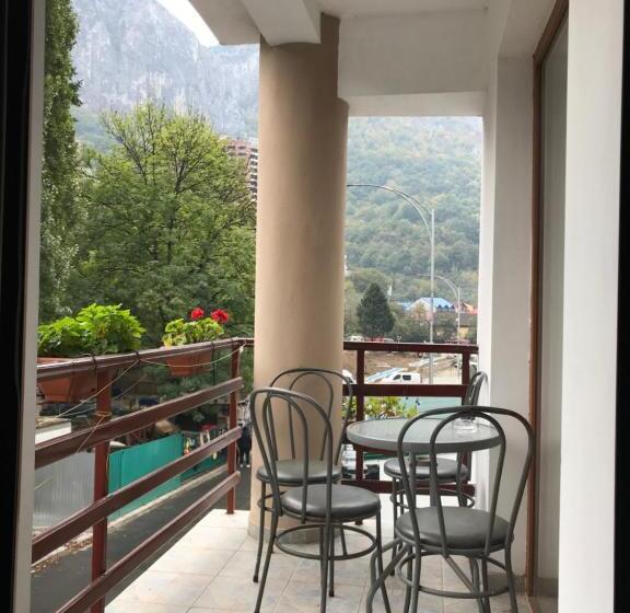 غرفة عائلية, Pinul Negru 2