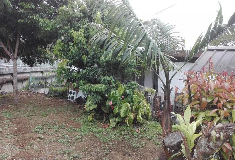 اتاق استاندارد, Maison Au Pied Du Volcan