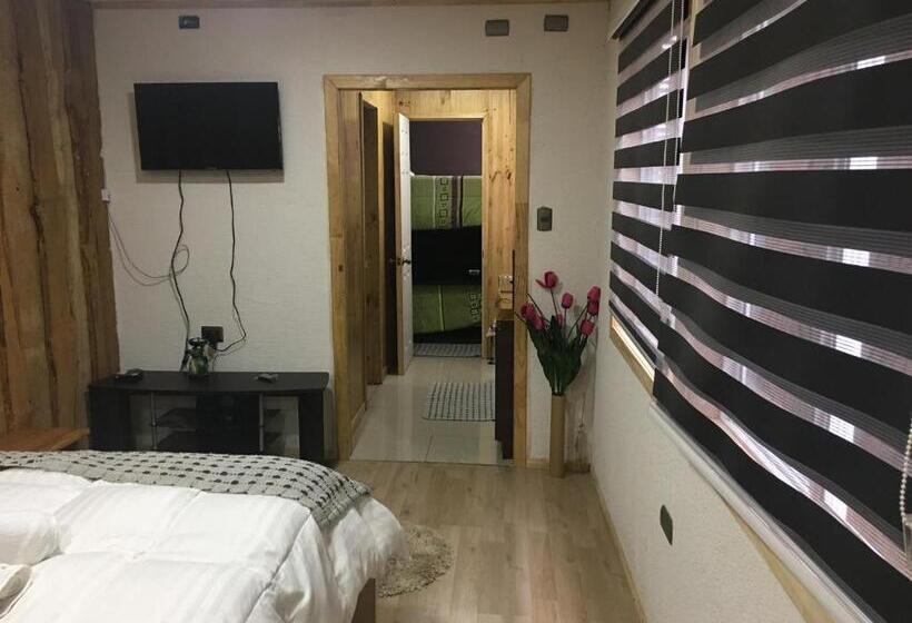 침실 1개 아파트, Hostal Plaza Chiloe